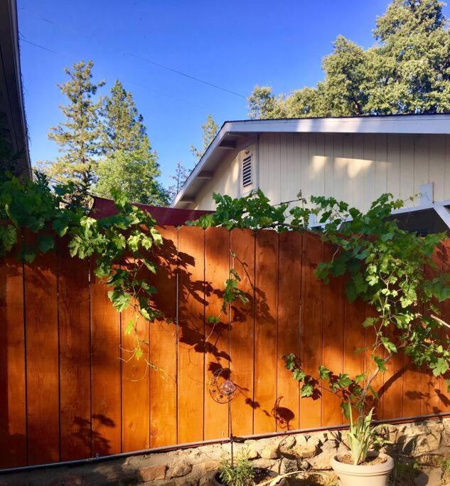 Sierra Sunset Cottage -Yosemite Area Vacation Cottage 阿赫瓦尼 外观 照片